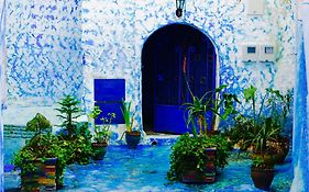 Casa Malek